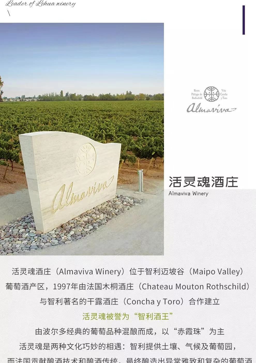 活灵魂almaviva红酒智利酒王原瓶进口干红葡萄酒375ml活灵魂酒庄小瓶