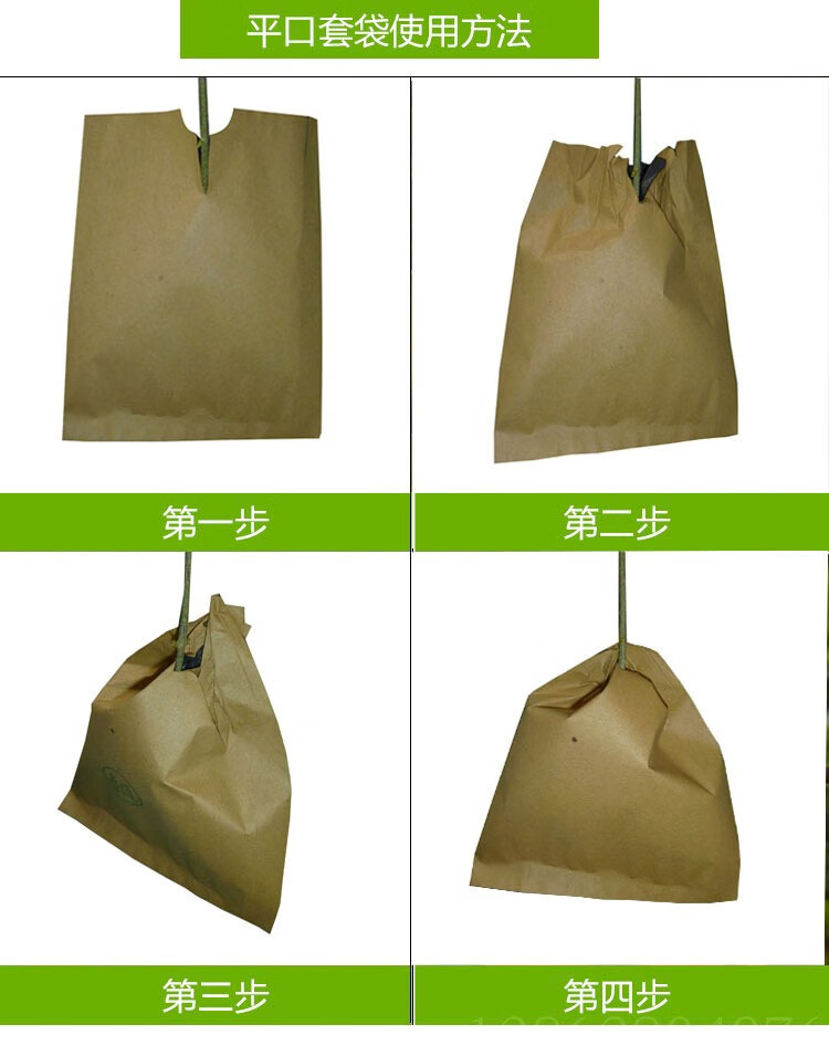 袋果袋秋月梨枇杷苹果套袋 160*198平口双层外黄内白100个【图片 价格