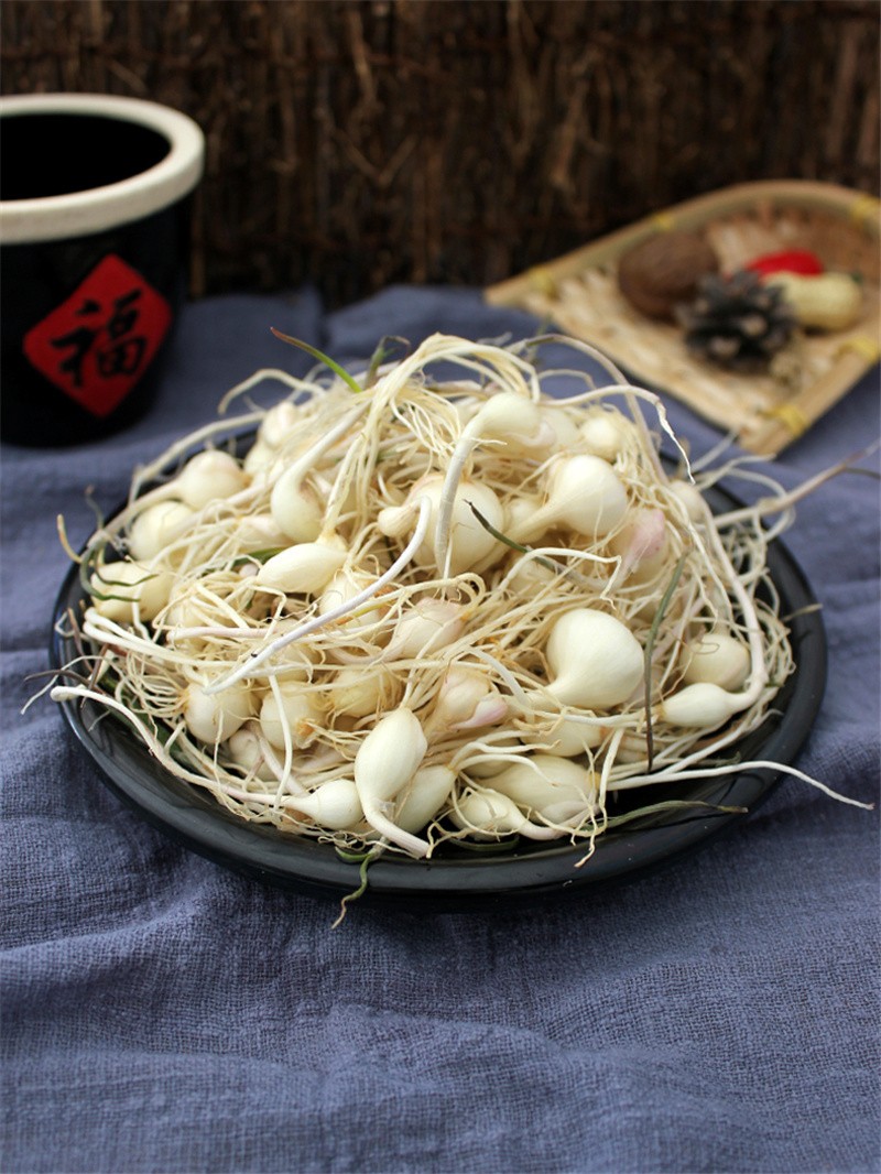 恬女神东北山野菜小根蒜野葱大脑瓜新鲜野山蒜大脑蹦500g