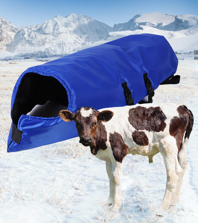 耐尔尼牛犊保温马甲加厚小牛犊牛保暖外套马甲新生牛犊公母通用加厚