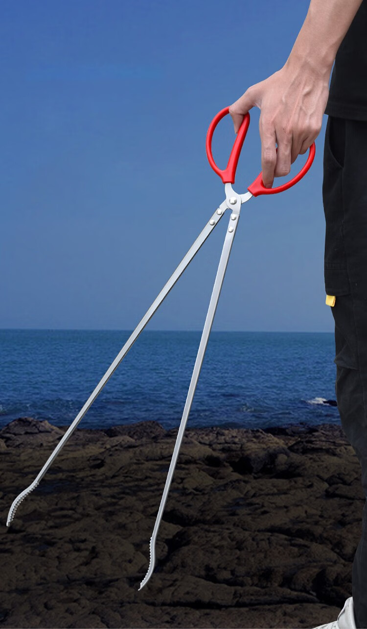 宸芃 不锈钢黄鳝夹子鳝鱼夹泥鳅螃蟹钳子抓捉专用工具赶海专用 不锈钢