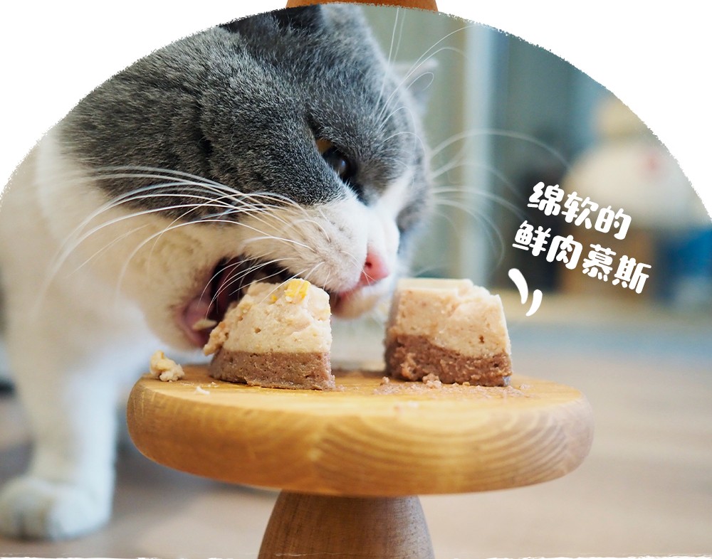 地狱厨房hellskitchen咕噜酱塔塔杯猫罐头猫零食蛋糕罐头泰国进口鲣鱼