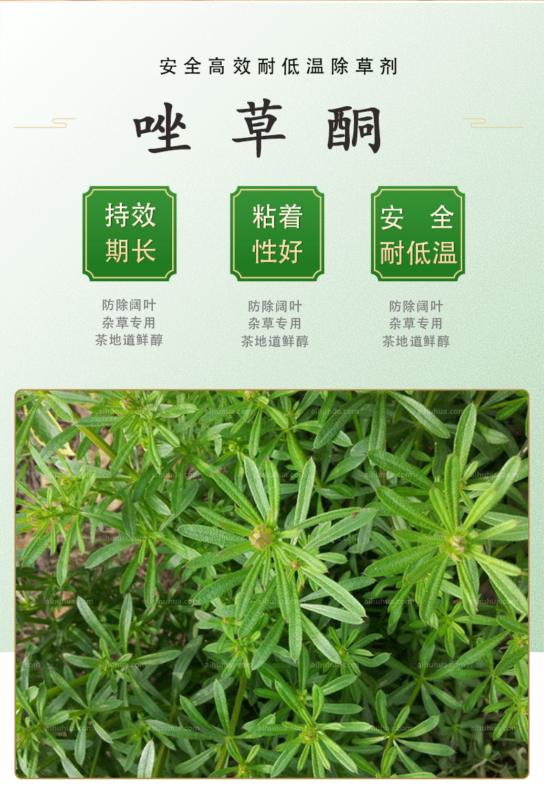 佳家闲 瑞邦快净 10%唑草酮小麦田专用除草剂阔叶杂草猪殃殃麦家公