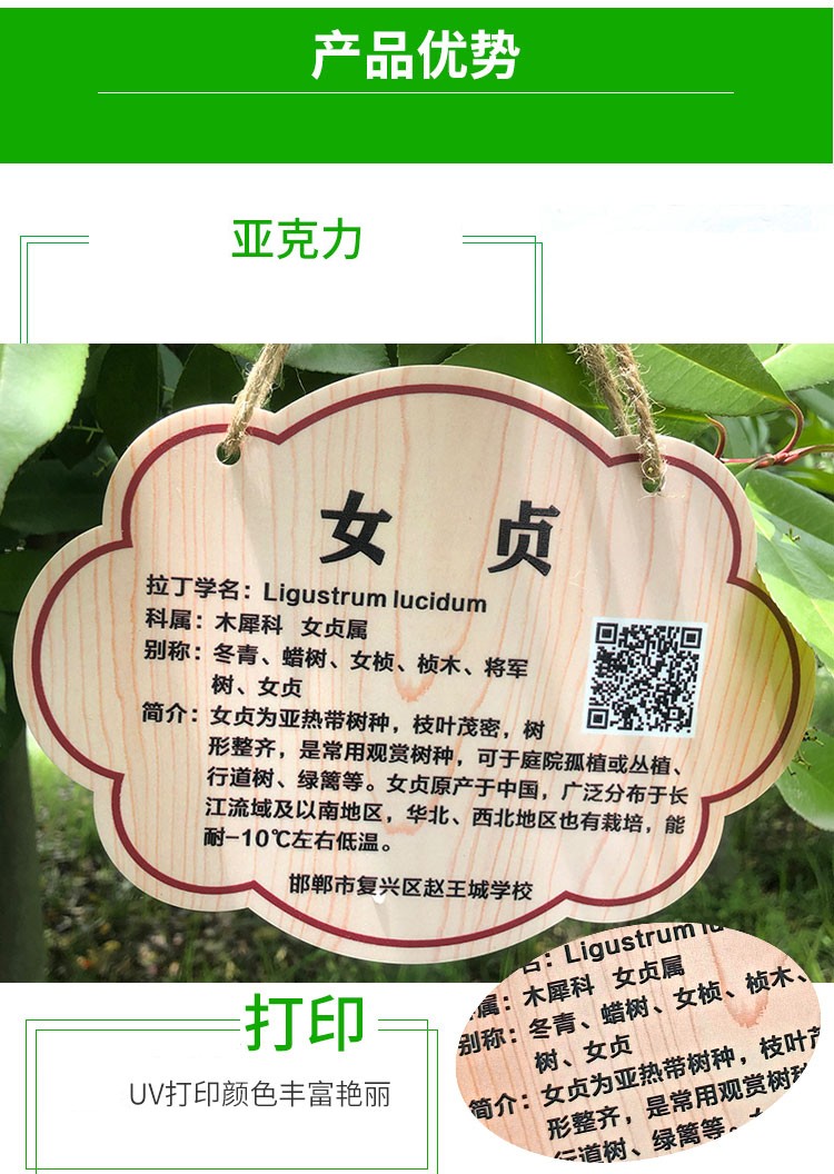 亚克力花草悬挂树牌定制植物标识牌绿化树木介绍挂牌园林指示牌 30cmx