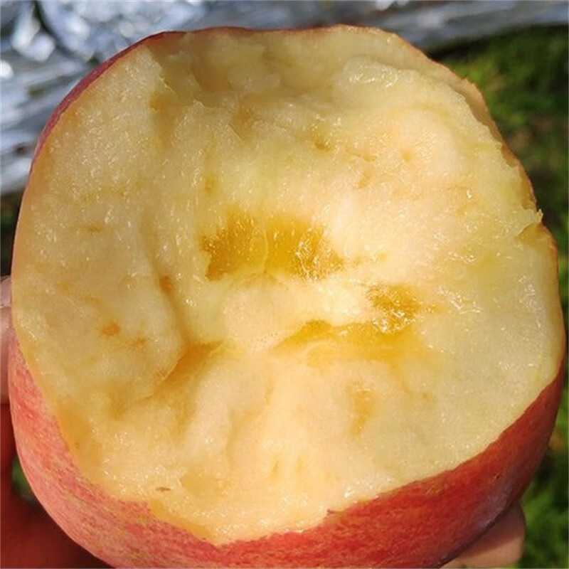 山西万荣雪果整箱冰糖心红富士苹果生鲜团购生鲜送礼 整箱18斤【家庭