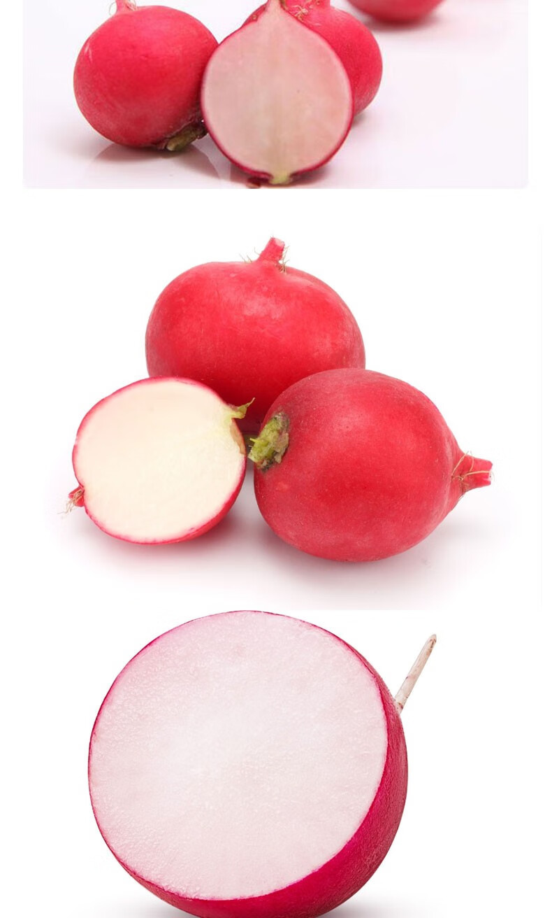 樱桃萝卜 新鲜迷你小红萝卜水果萝卜红丁甜脆西餐沙拉食材生吃糖醋脆