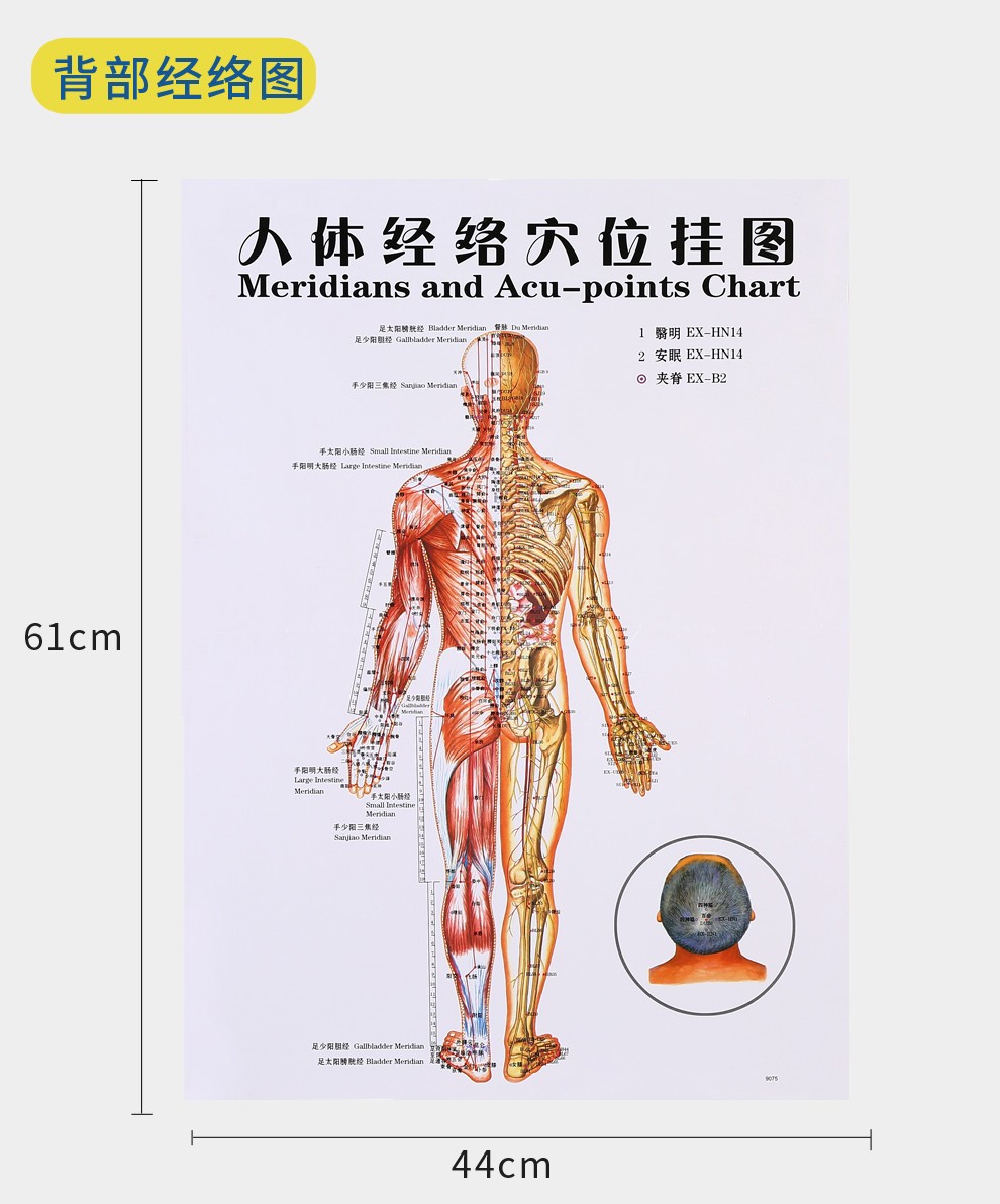 丞鑫足部人体穴位图艾灸经穴部位图人体经穴部位图头部按摩图人体经络