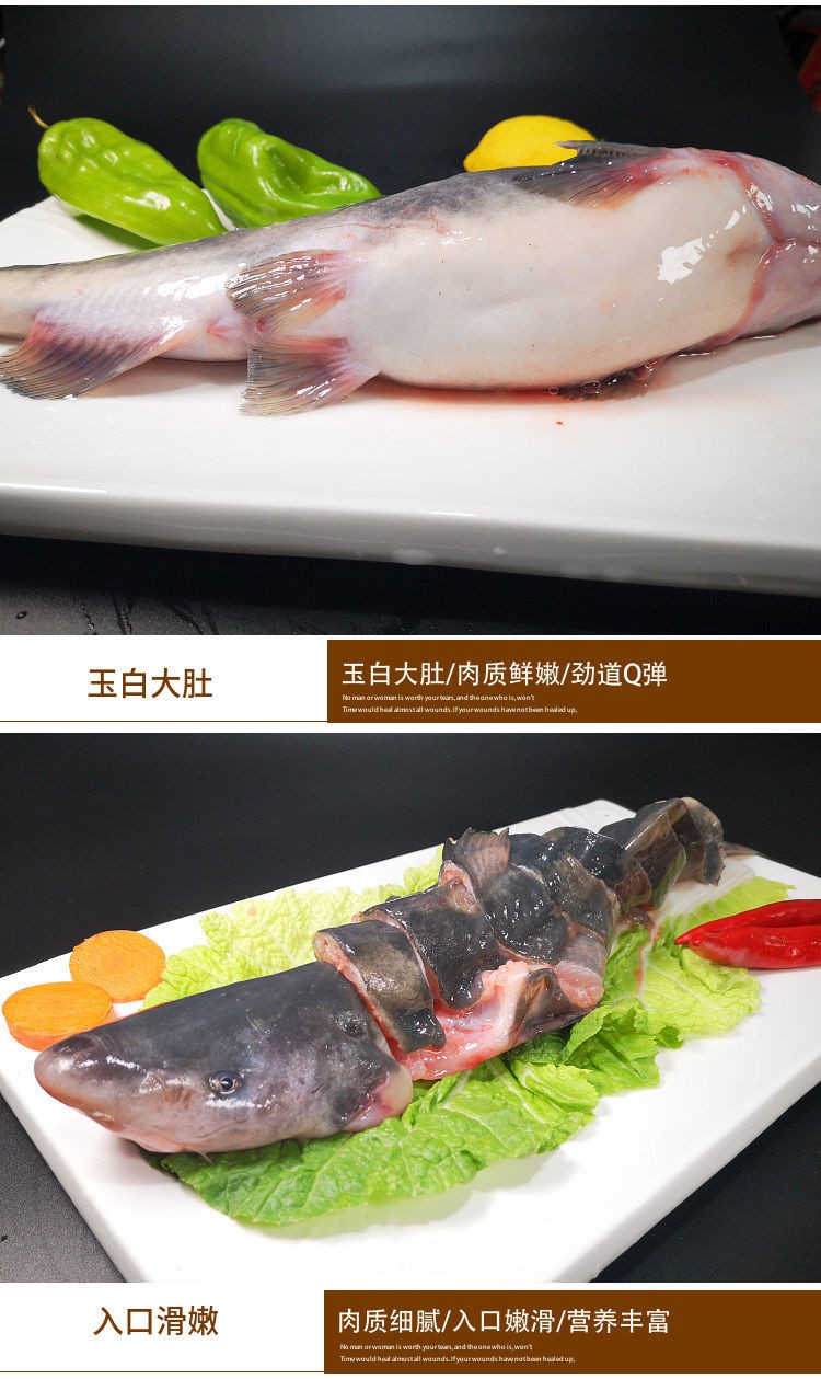 姚鲜品旗舰店现杀鲜活鮰鱼肥鱼习鱼肥鱼回鱼农家回鱼3斤现杀净重24斤