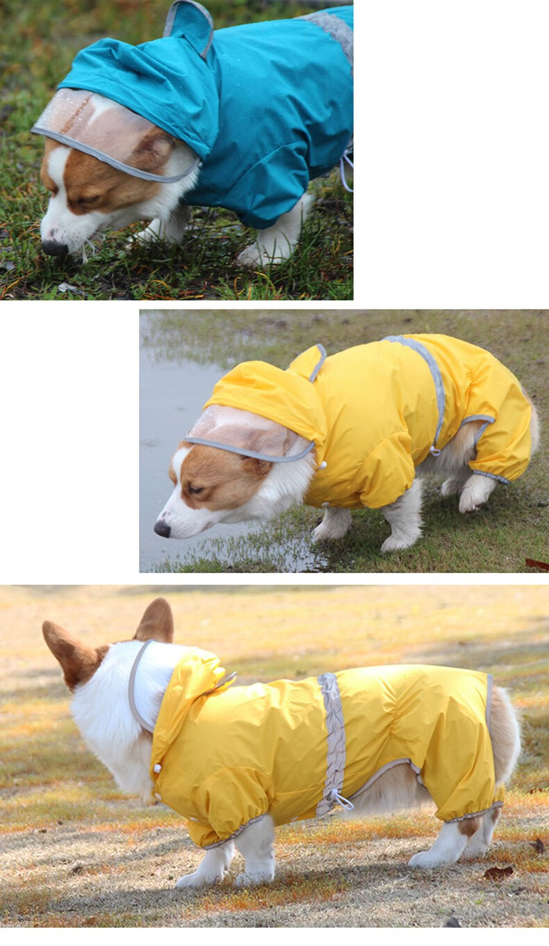 slpc狗狗雨衣中型柯基雨披小型犬四脚雨衣巴哥法斗雪纳瑞宠物雨衣湖