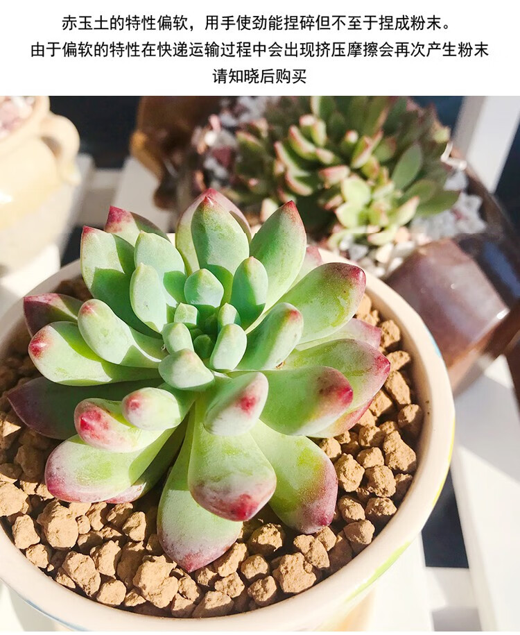 宛彦君三本线赤玉土多肉种植土铺面盆景颗粒石鹿沼土蛭石泥炭铺面营养