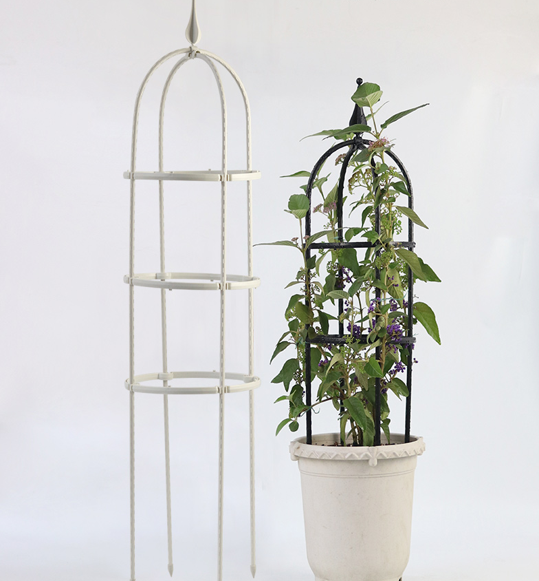 园艺爬藤架包塑铁管花支架植物攀爬藤架子阳台铁线莲月季花架直径15高