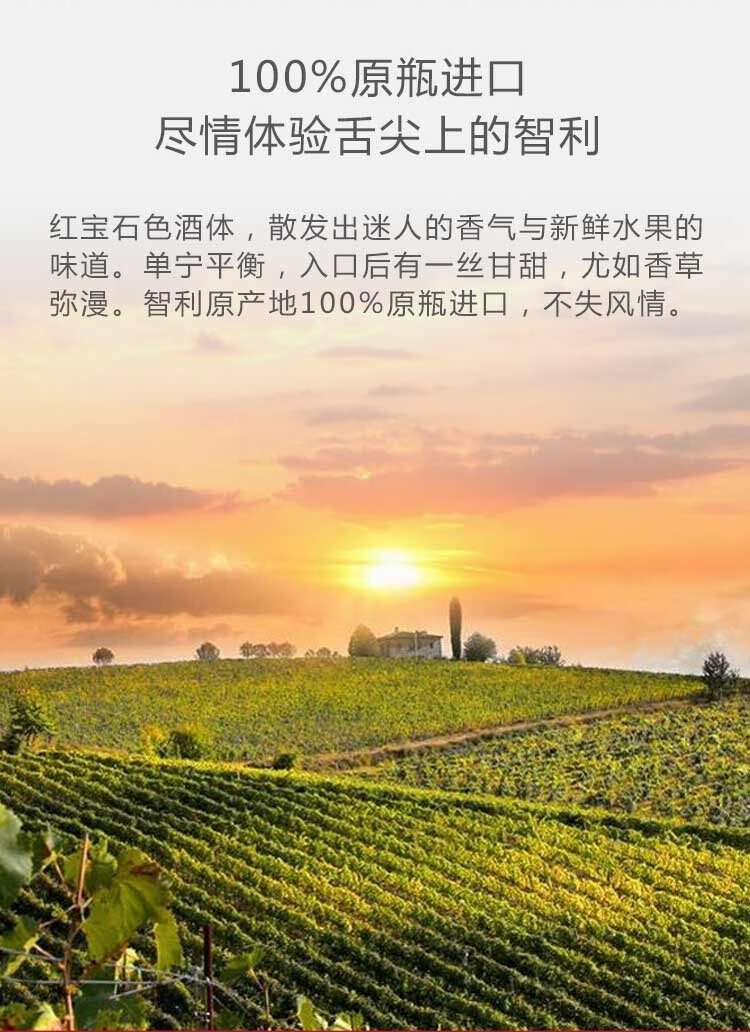 智利绘架座风情干红葡萄酒12度750ml750ml1瓶