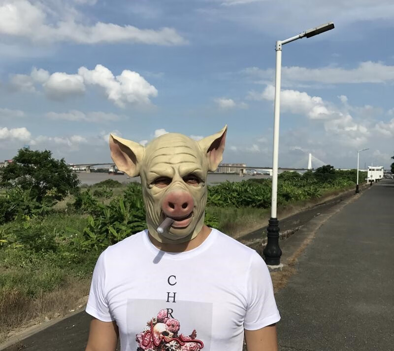 羊驼 墨镜【图片 价格 品牌 报价】-京东