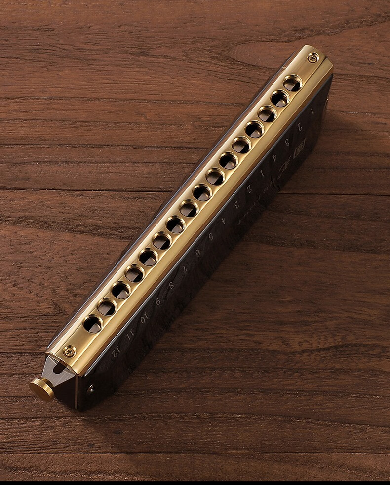 上海国光半音阶口琴c调初学者成人专业演奏级乐器16孔64音金色