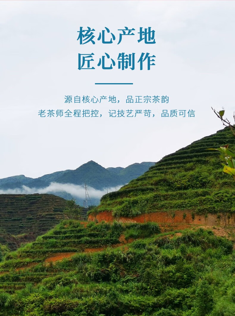 正声大红袍乌龙茶叶年货礼盒山语 大红袍山语礼盒200g