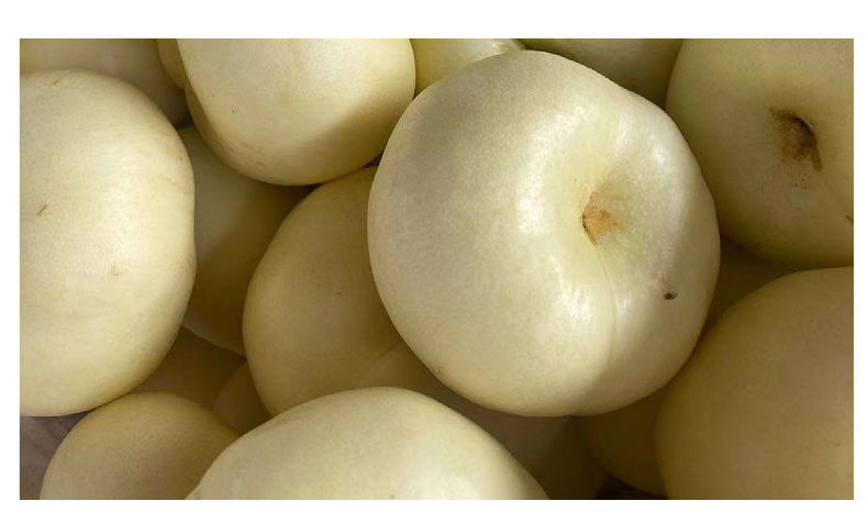 新鲜蒙阴奶油蟠桃当季整箱桃子应季甜蟠桃 实惠普通装 3斤装【图片