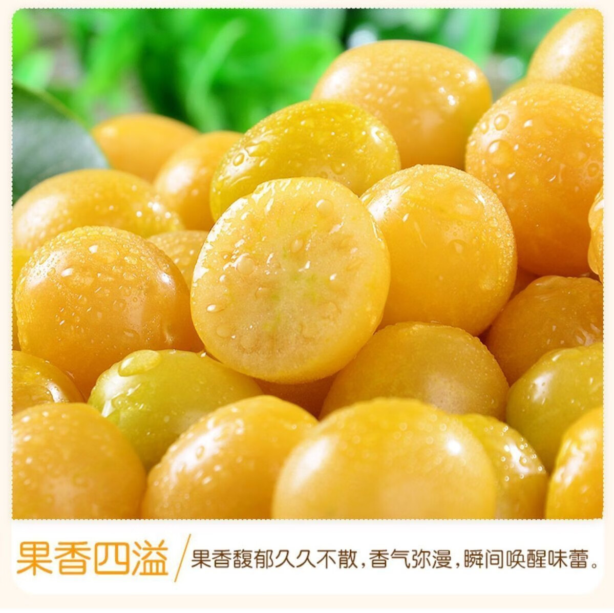 东北姑娘果9斤12斤黄菇娘果黄灯笼果应季新鲜水果生鲜12斤精选果