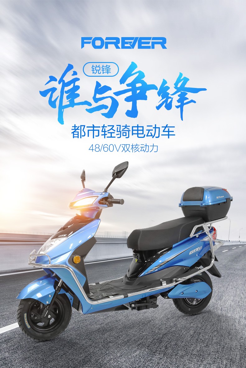 永久电动48/60v 20ah新国标电动车成人电瓶车电动自行车助力小型代步