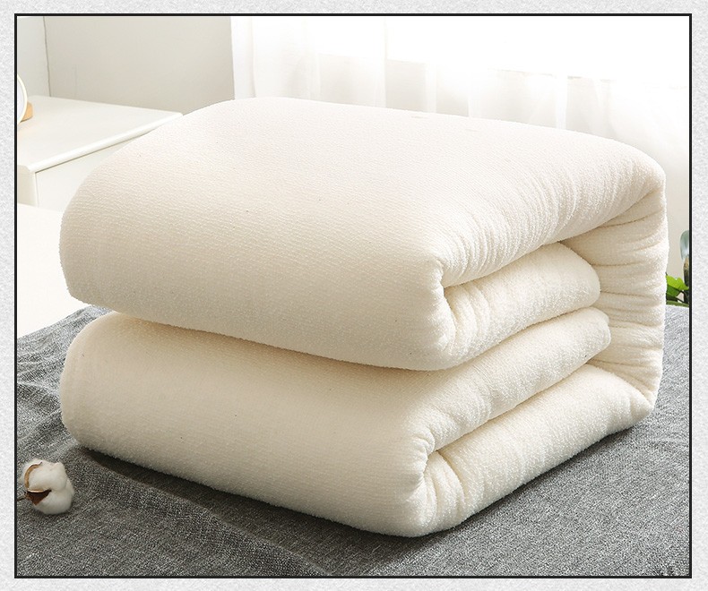 戈壁室女 新疆棉花被芯 长绒棉花被子单学生宿舍卧室春秋被 冬被被褥