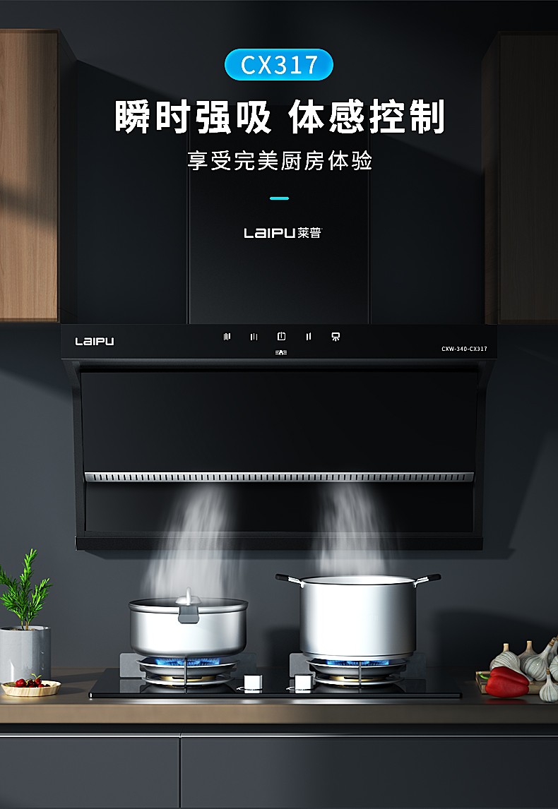 莱普laipu油烟机cx317