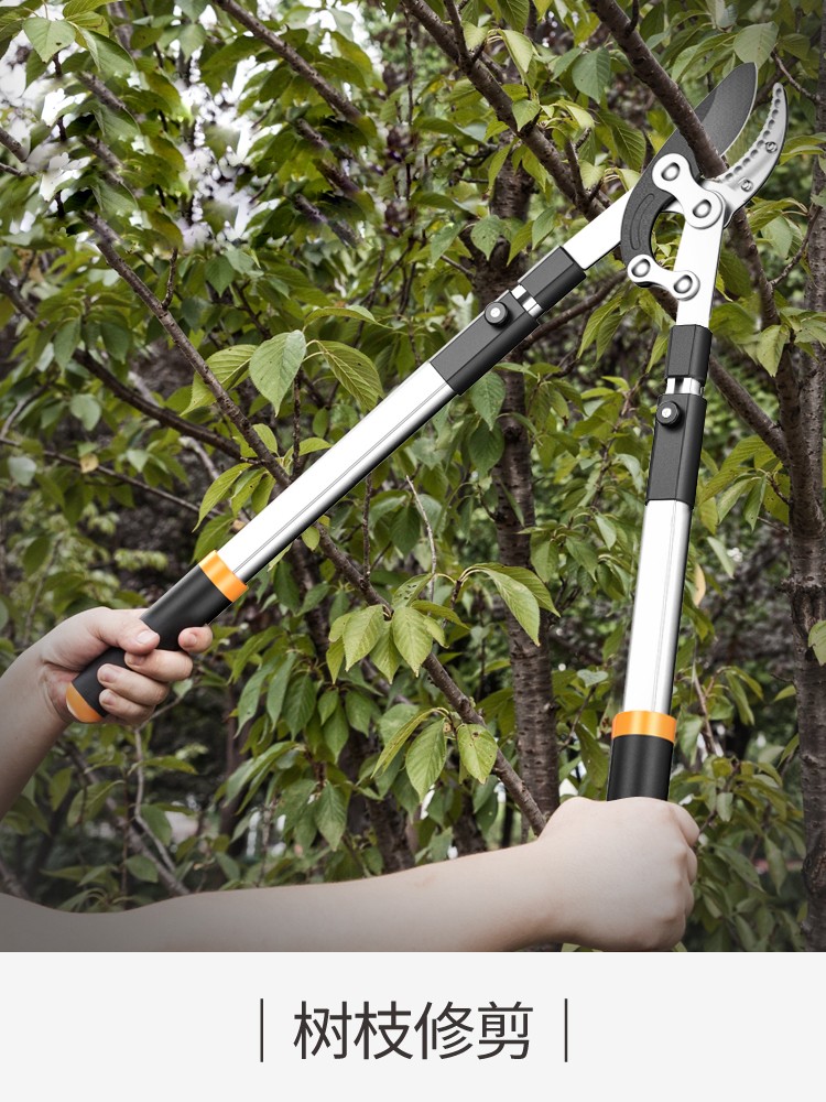 修剪树枝剪刀果树剪枝大力剪园林粗枝剪强力剪花枝园艺工具 大号强力
