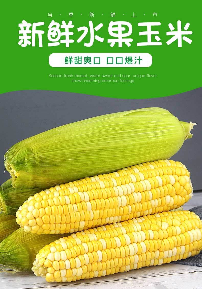 云南水果玉米新鲜甜玉米 生吃爆浆脆嫩玉米棒子 5斤