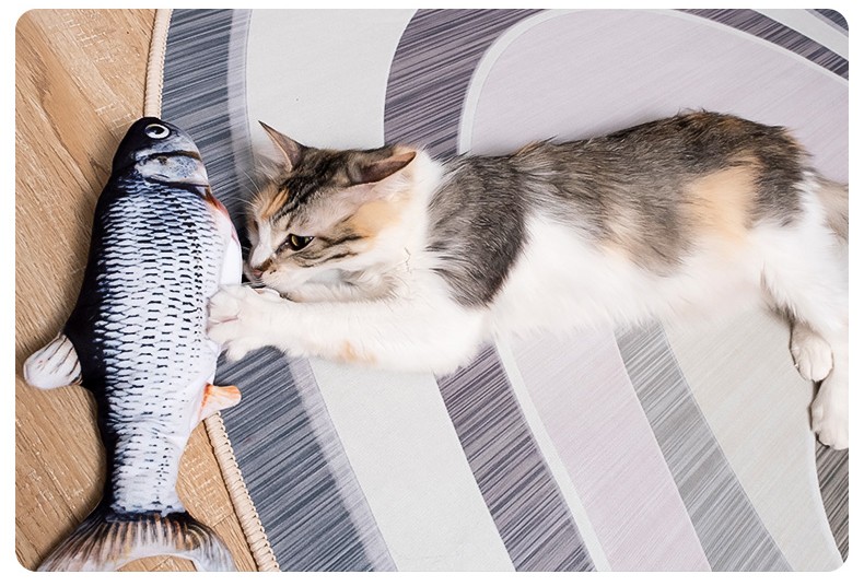 会动的鱼innpig逗猫玩具仿真电动玩具鱼网红抖音同款鱼猫咪逗猫玩具