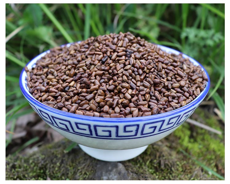 【致天然】决明子500g 炒决明子 决明子茶 精选大粒无硫决明子