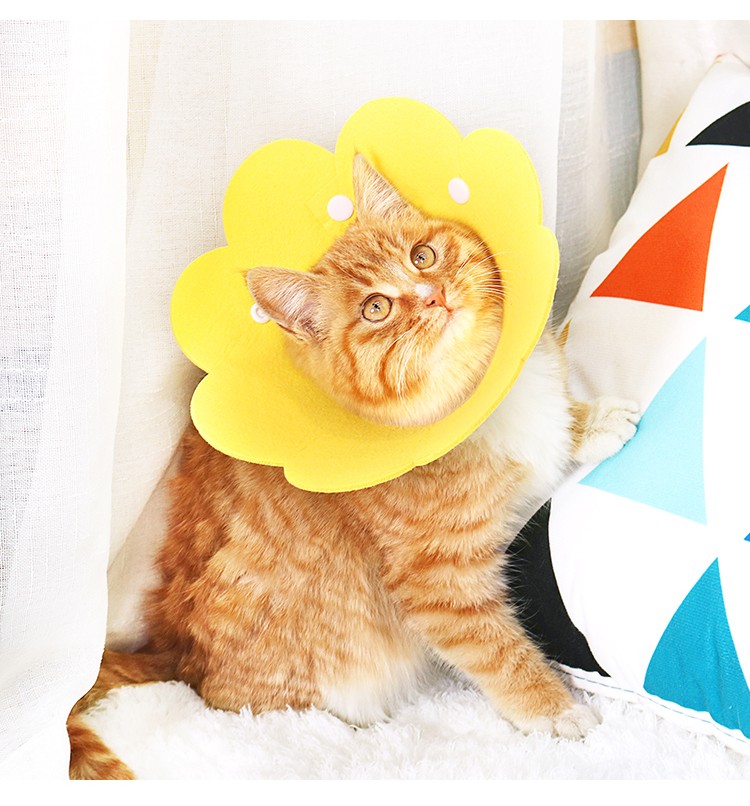 伊丽莎白圈猫头套防舔咬猫咪狗狗耻辱圈脖圈幼猫项圈宠物绝育用品太阳