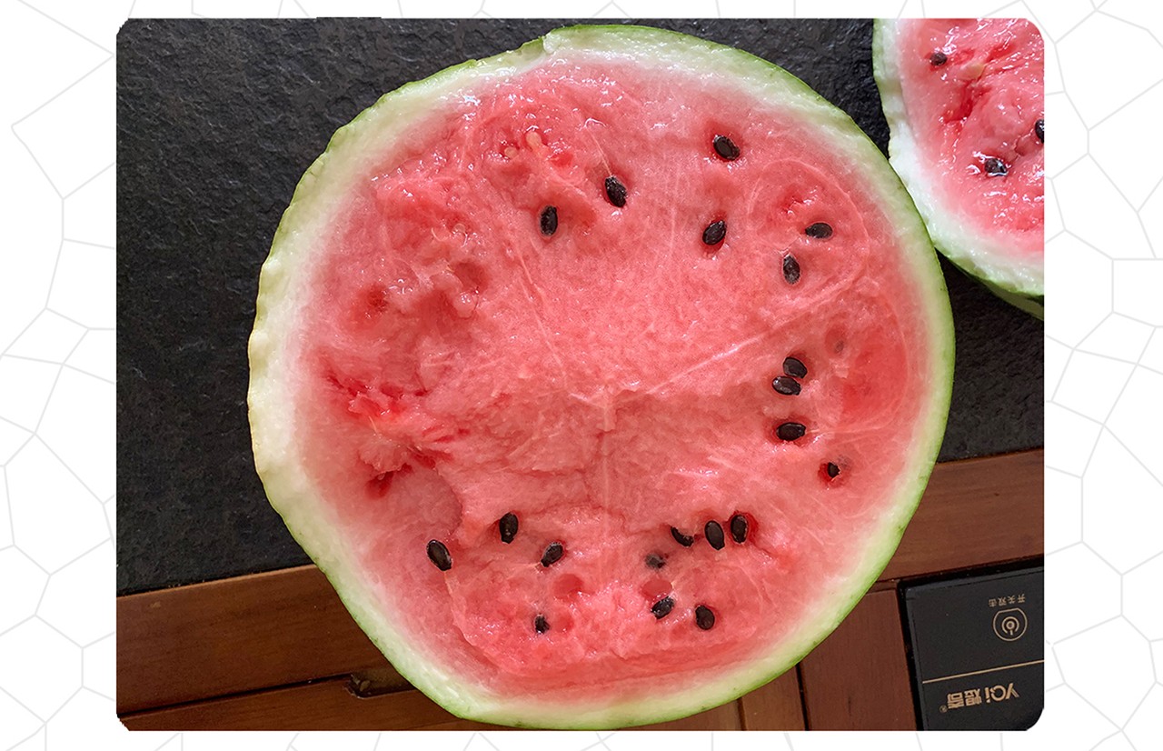 中科茂华瓜果蔬菜种子新疆早佳花蜜8424麒麟西瓜种子薄皮粉红瓤改良