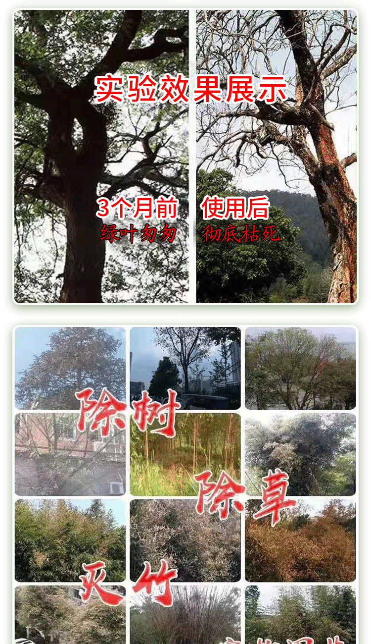瀚鑫环嗪酮除草烂根剂杀树王除树剂杀大树烂根杀竹剂灭竹子烂根杂竹净