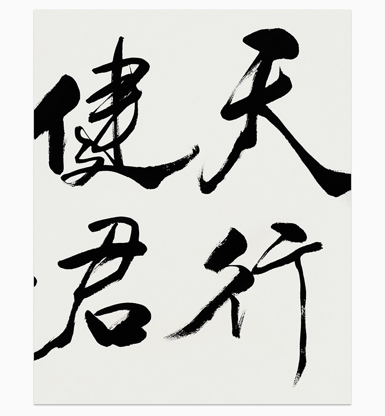 冯骥才真迹手写精品行草书法天行健茶室客厅毛笔字收藏装饰