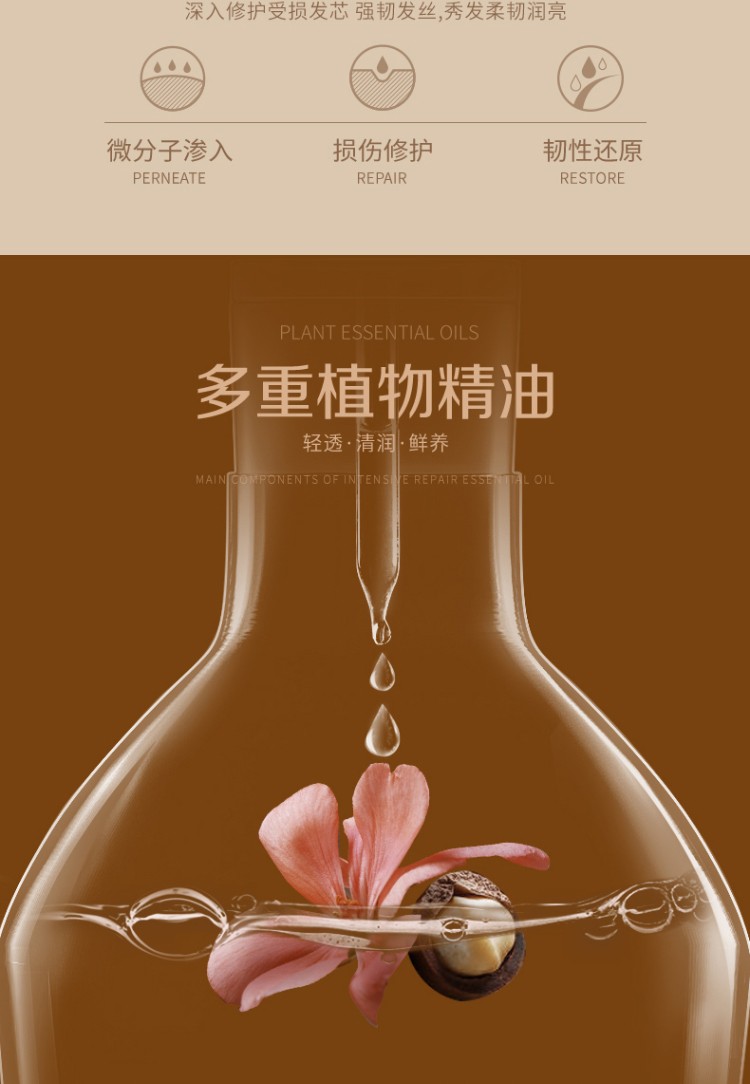 美多丝护发精油养护发丝改善烫染受损卷发防毛躁女头发密集修护柔顺