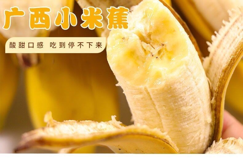 54175-广西小米蕉新鲜当季水果自然熟芭蕉水果 带箱10斤甄选-详情图