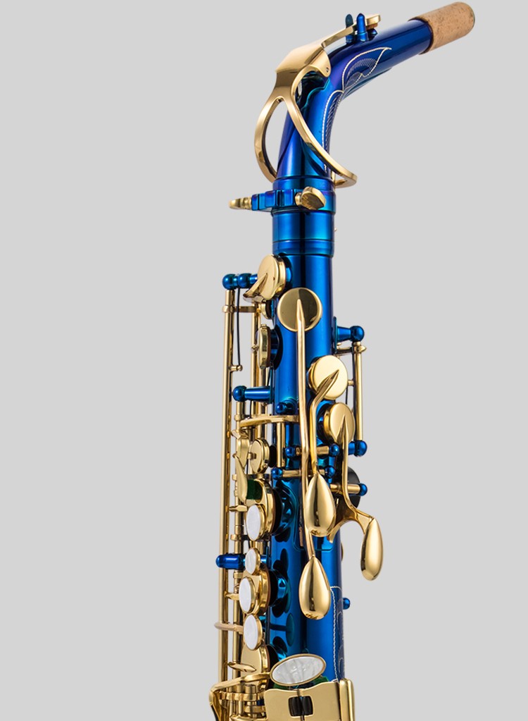 鹦鹉parrot中音萨克斯降e调高音降b调萨克斯风初学成人演奏考级 电泳