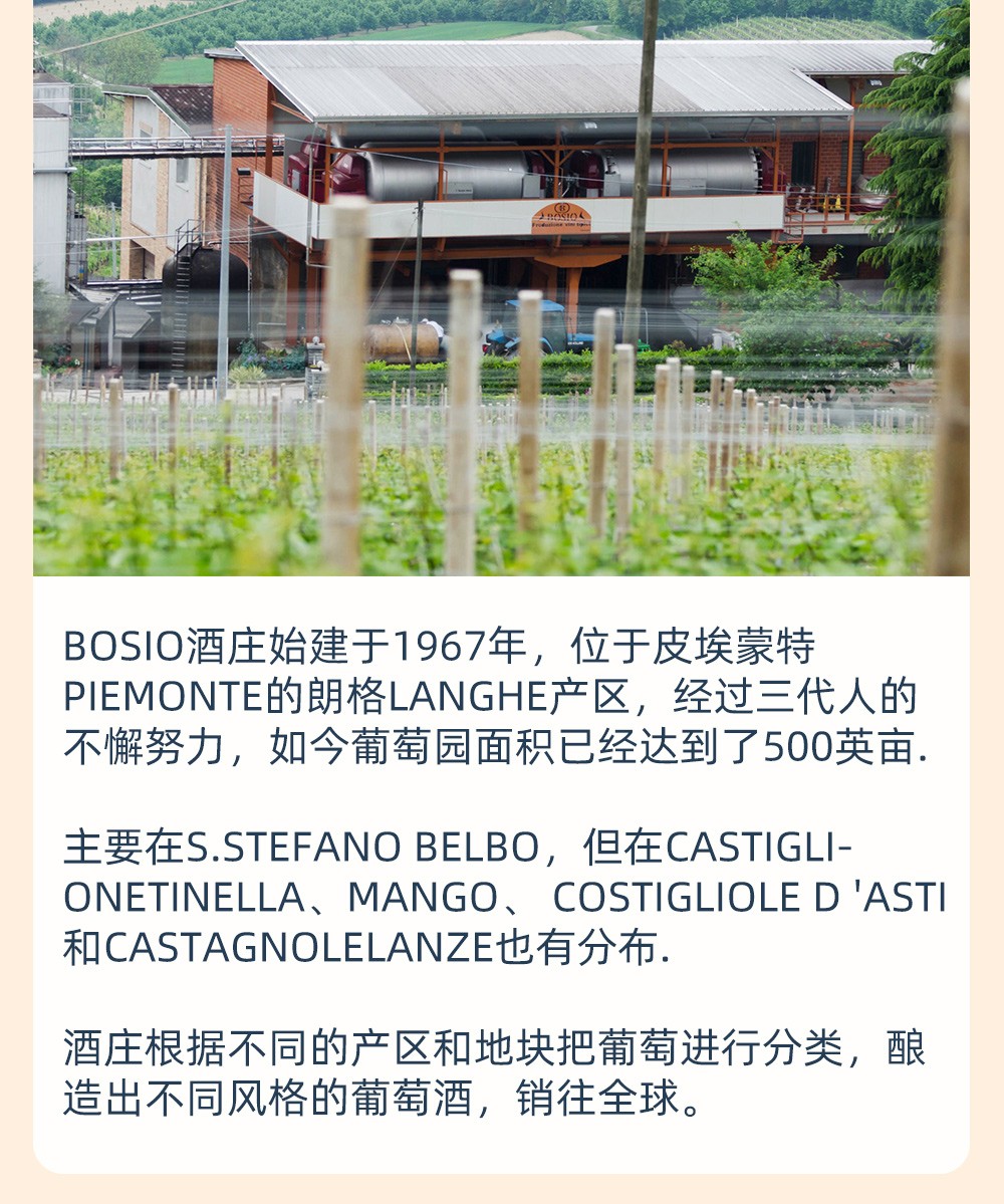 意大利docg博索小企鹅莫斯卡托阿斯蒂甜白起泡葡萄酒整件6瓶