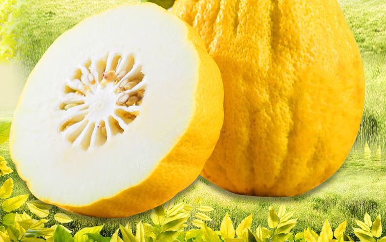 云南香橼果 新鲜佛手柑 香园贡果水果 精选4斤【图片 价格 品牌 报价