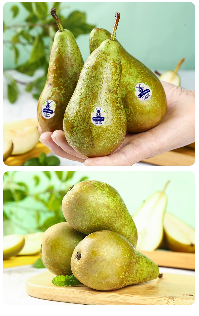 啤梨软糯香甜宝宝水果荷兰青梨当季新鲜水果五斤装