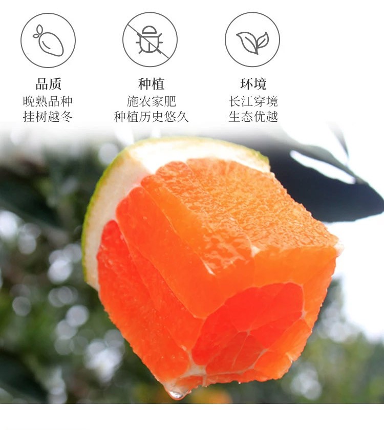 网易严选 秭归中华红橙 8斤(24个)【图片 价格 品牌 报价】-京东