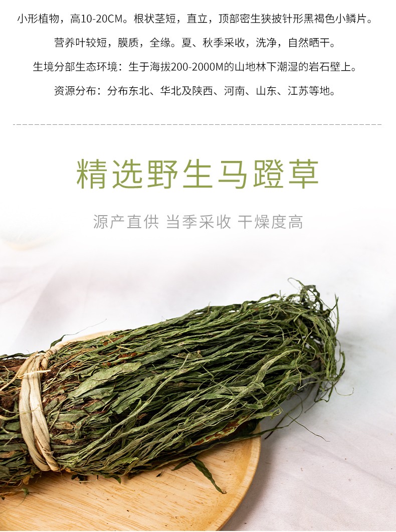 古养斋马蹬草过桥草小石韦还阳草中药材250g正宗马镫草马登草100克马