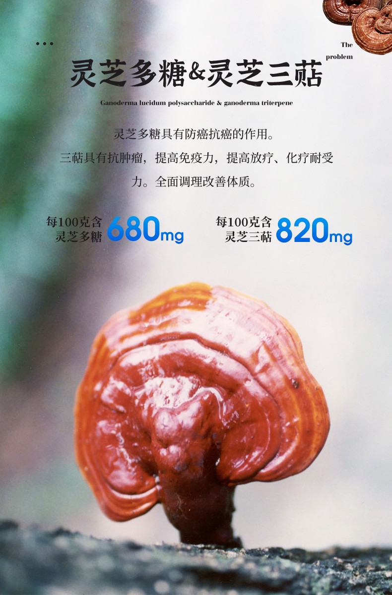 清大广仁破壁灵芝孢子粉增强免疫力灵芝提取物灵芝三萜片成人中老年