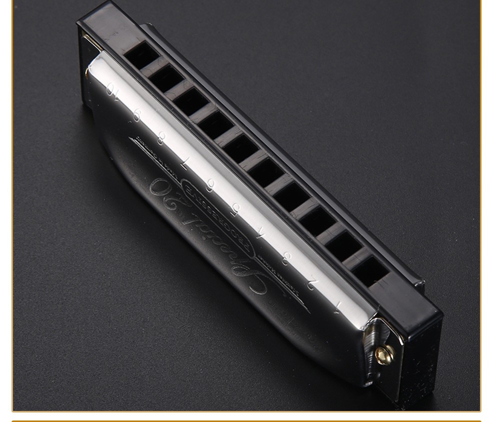 hohner和来sp20口琴成人专业德国进口布鲁斯special20和莱自学10十孔