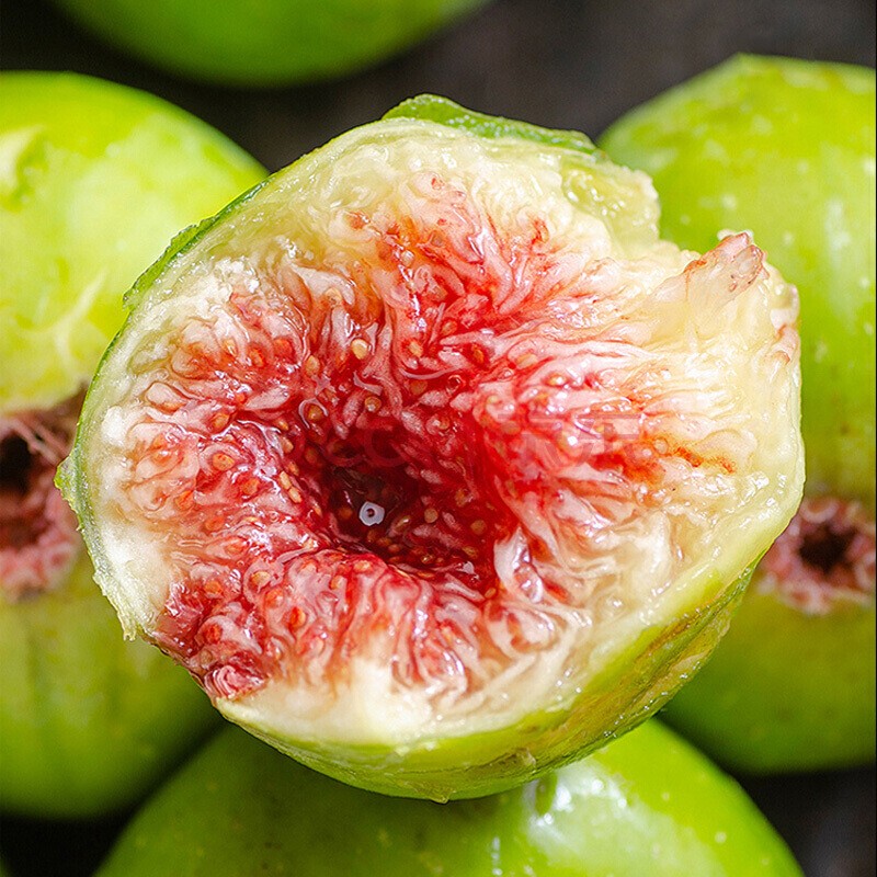 无花果树苗小甜心南方北方四季种植易活产量高盆栽地栽果树苗1厘米粗