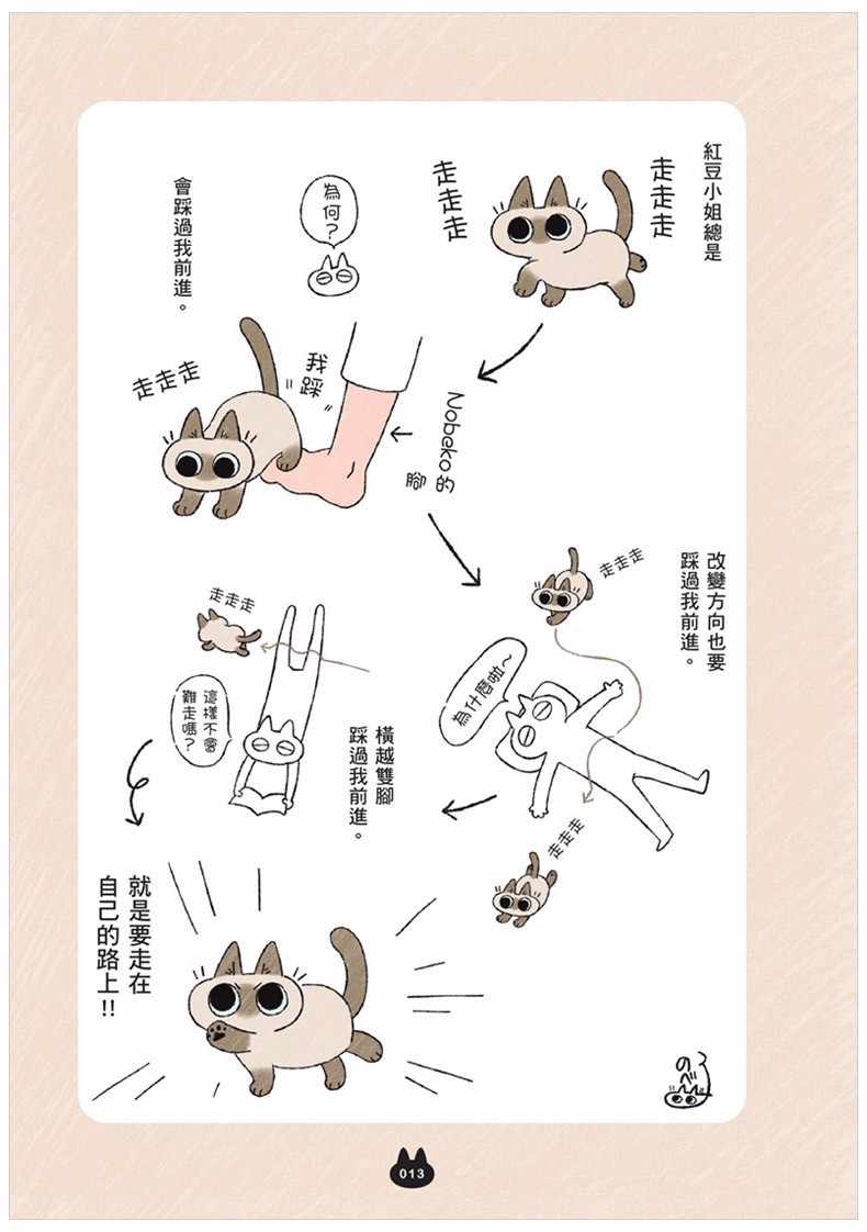 世界,就是绕着猫打转 港台原版 nobeko 漫画绘本