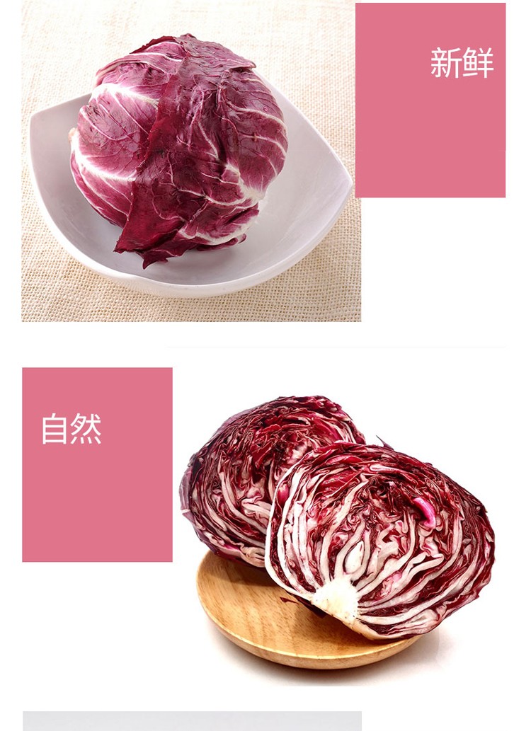 新鲜落地球生菜沙拉蔬菜红叶包菜红菊苣西餐沙拉菜精选5斤装