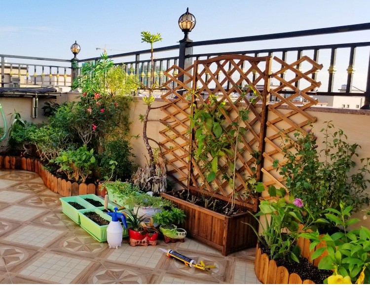 防腐木花架户外庭院栅栏围栏阳台种植箱花园露台布置装饰花架花盆