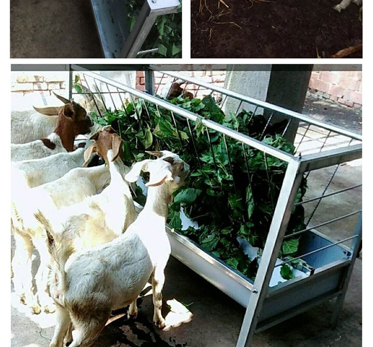 牧尔康羊草料架羊槽子带架养殖设备3米加长家用养羊带草料架食槽可