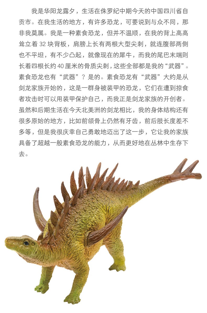 编号:10026599086737商品名称:新年礼物pnso华阳龙露夕恐龙大王成长