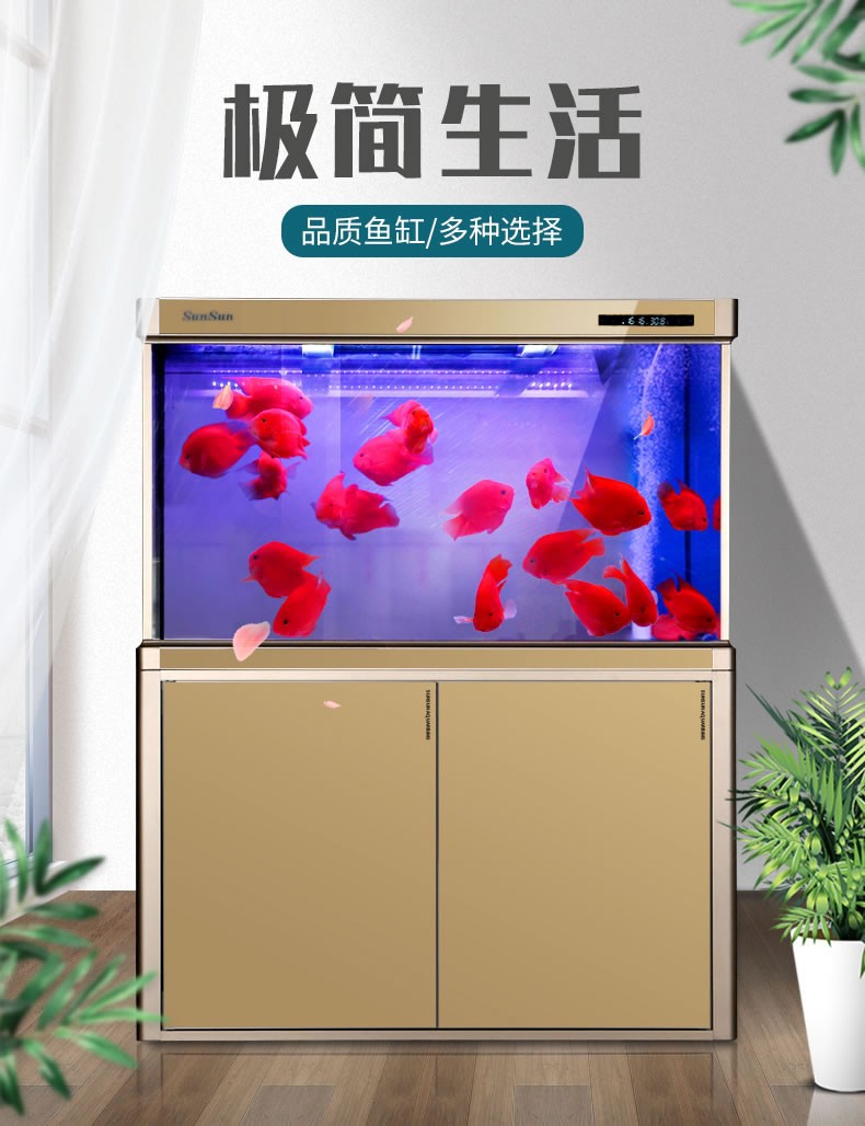 森森客厅大型家用鱼缸2020新款超白免换水底滤鱼缸水族箱08米长30厘米