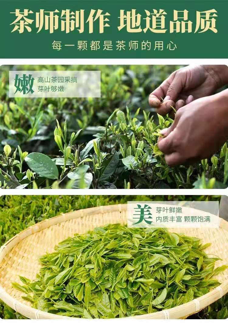礼修为英山绿茶云雾茶2022年新茶春茶礼盒装250g日照充足高山云雾绿茶